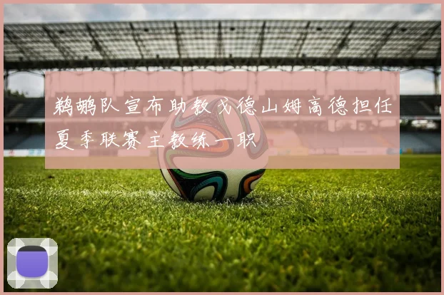 鹈鹕队宣布助教戈德山姆高德担任夏季联赛主教练一职