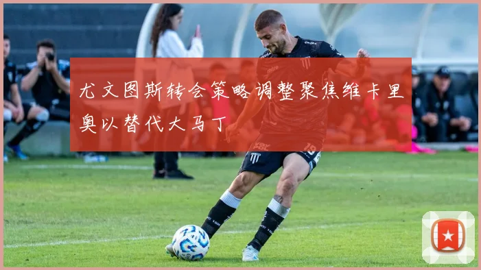 尤文图斯转会策略调整聚焦维卡里奥以替代大马丁